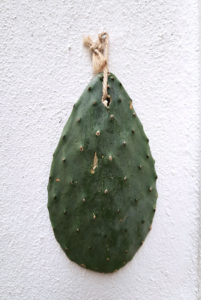 Kaktusblat hängt an der Hauswand